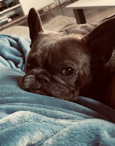 Ist das ein...?-Beitrag-Bild