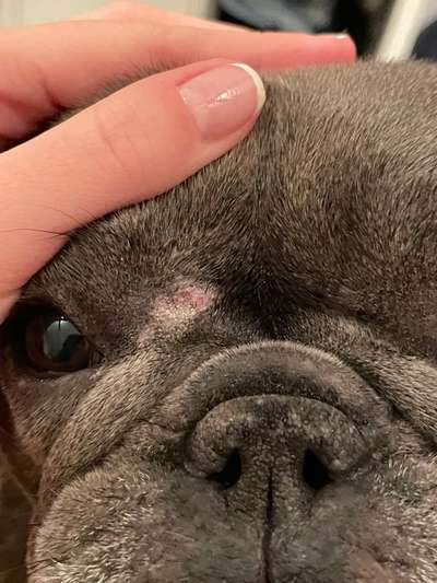 Blutende Stelle an Falte-Beitrag-Bild