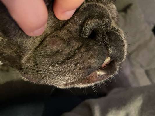 Blutende Stelle an Falte-Beitrag-Bild