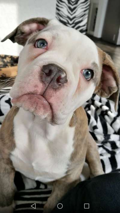 Foto Challenge 3-Beitrag-Bild