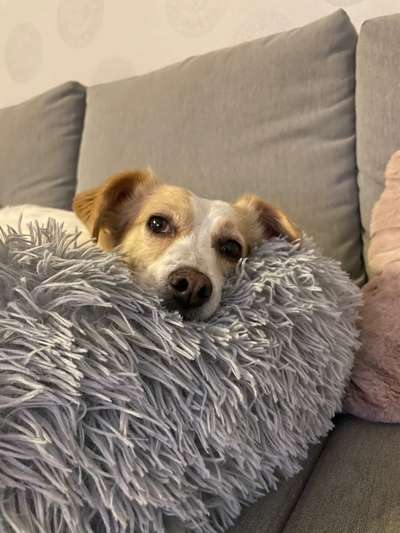 65. Handy Foto Challange                     "Ich kann nicht ohne..."-Beitrag-Bild