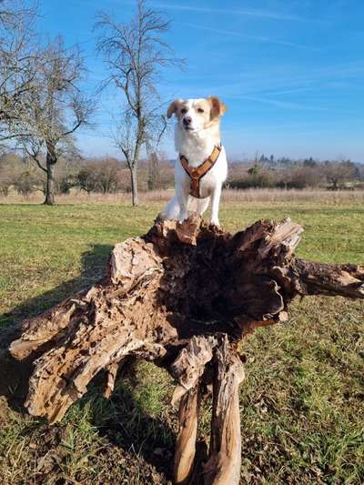 64. Handy Foto Challenge - Hoch hinaus-Beitrag-Bild