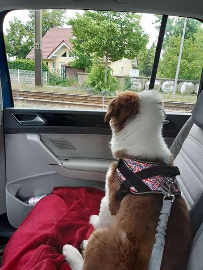 CHALLENGE NR. 18 - ON TOUR-Beitrag-Bild