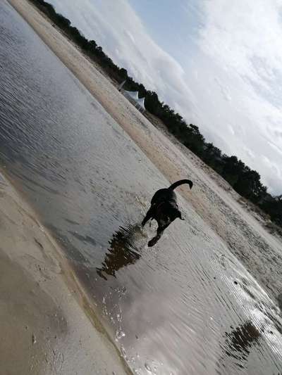 Dogorama-Monats-Challenge-Mai "Wasser"-Beitrag-Bild