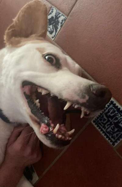 Handy-foto Challange nr. 11-Beitrag-Bild