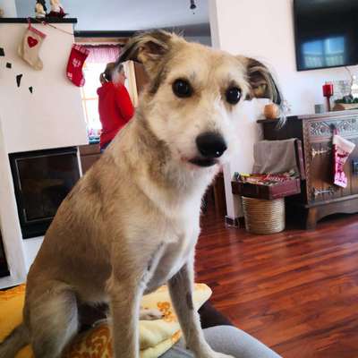 Lieblingsbild-Beitrag-Bild