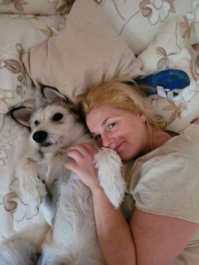 Lieblingsbild-Beitrag-Bild