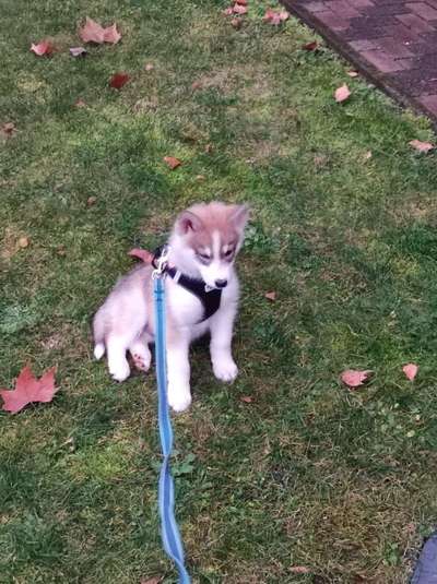 Zeigt eure Portraits-Beitrag-Bild