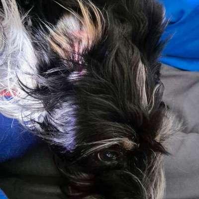 Wie habt ihr den Silvesterabend verbracht?-Beitrag-Bild