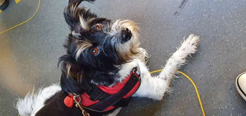 Lieblingsbild-Beitrag-Bild