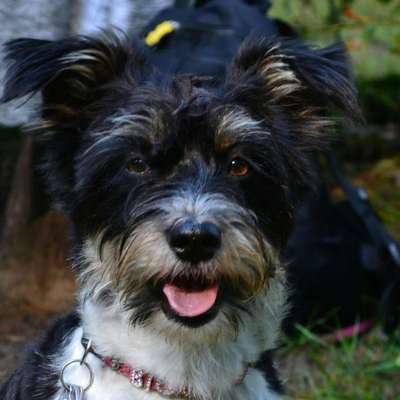 Fotochallange Nr. 57     PORTRÄT.   Beendet!!!!!!!!-Beitrag-Bild