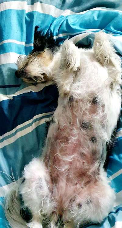 Fotochallenge Nr.65-Beitrag-Bild