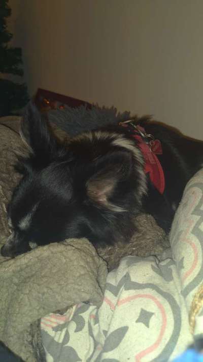 Schlafzeit!💖-Beitrag-Bild