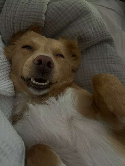 Fotochallenge Nr.105  Glücksmomente-Beitrag-Bild