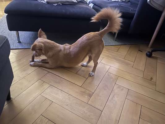 15. Handyfoto Challenge - Indoor Aktivitäten-Beitrag-Bild