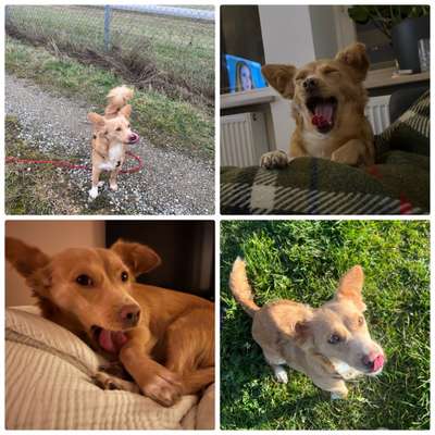 18. Collagen Challenge - Zunge raus!-Beitrag-Bild