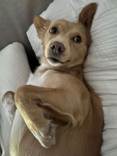 Zeigt eure Portraits-Beitrag-Bild