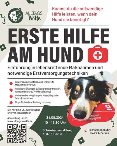 Giftköder-Erste Hilfe am Hund in Berlin 31.08.24-Bild