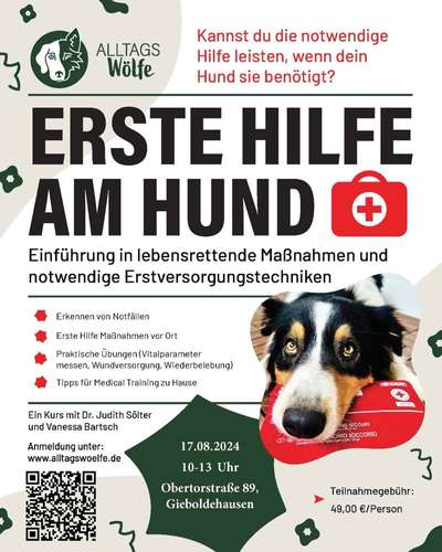 Giftköder-Erste Hilfe am Hund in Gieboldehausen-Bild