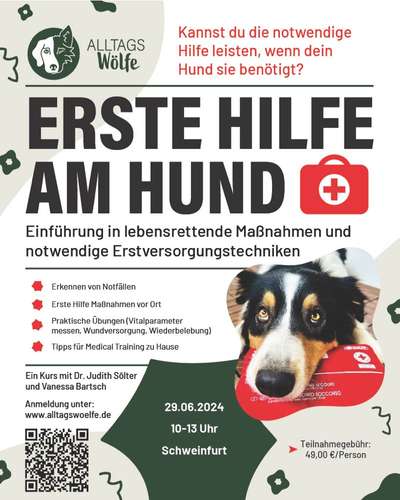 Giftköder-Erste Hilfe am Hund in Gieboldehausen-Bild