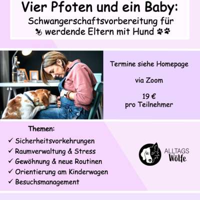 Giftköder-Vier Pfoten und ein Baby - Live Online-Bild