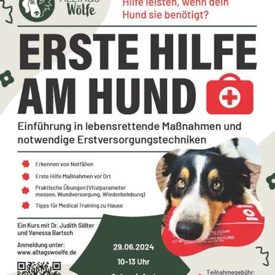 Giftköder-Erste Hilfe am Hund in Schweinfurt-Bild