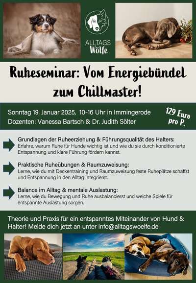 Giftköder-Ruhe: Vom Energiebündel zum Chillmaster-Bild