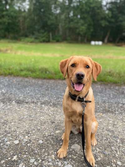 147. Foto Challenge: Bettelblick-Beitrag-Bild