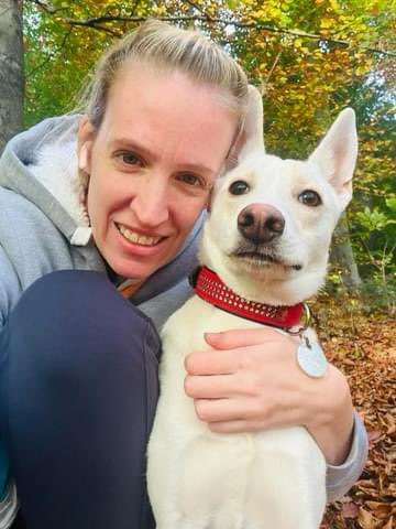 Hundetreffen-Gassi gehen oder Spielrunde-Bild