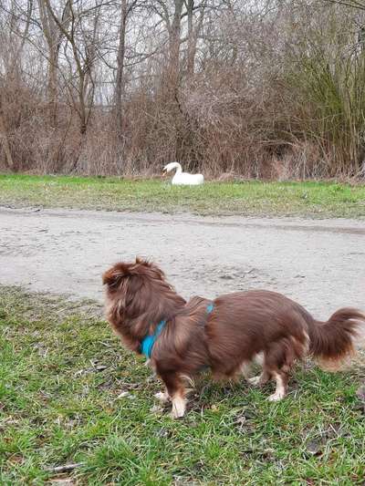 Fotochallenge No. 26                                     Wald und Wiese-Beitrag-Bild