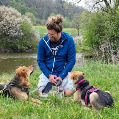 Hundetreffen-Social walk...dogwalk