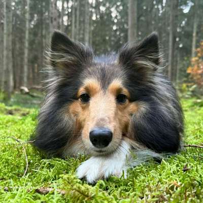 Franzi's Profilbild