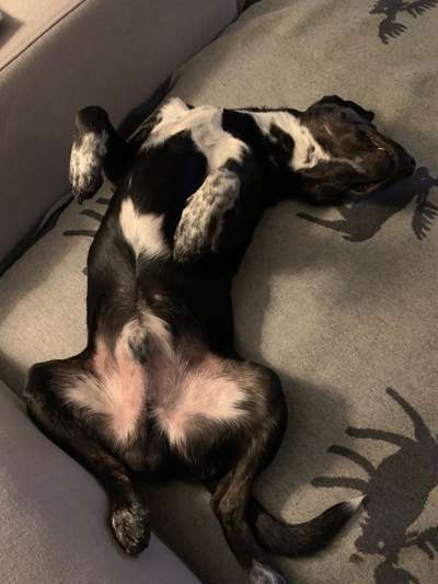 Fotochallenge Nr.65-Beitrag-Bild