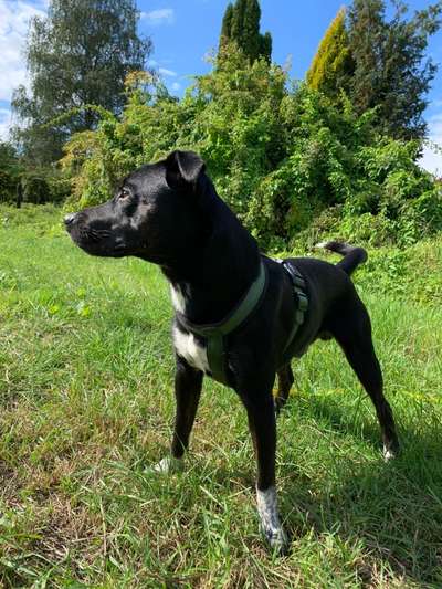 Wie oft gebt ihr Snacks?-Beitrag-Bild