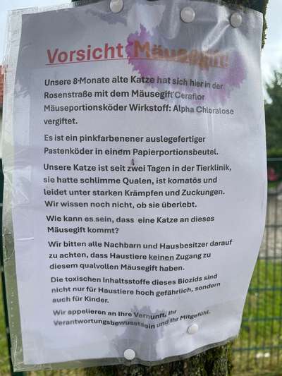 Giftköder-Vorsicht vor Mäusegift-Bild