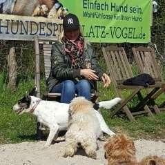 Giftköder-Hundespielplatz-Bild