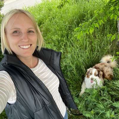 Hundetreffen-Social Walk + ggf. Spieldate