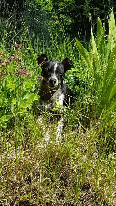 Fotochallange Nr. 57     PORTRÄT.   Beendet!!!!!!!!-Beitrag-Bild