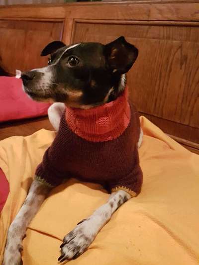 Medizinische Hilfe bei Hautproblem-Beitrag-Bild