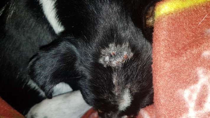 Medizinische Hilfe bei Hautproblem-Beitrag-Bild