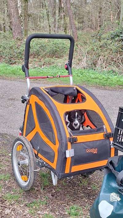 Mit Fahrradanhänger unterwegs?-Beitrag-Bild