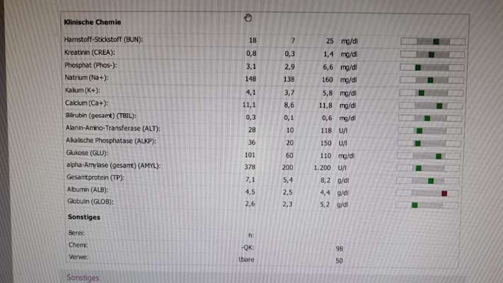 Medizinische Hilfe bei Hautproblem-Beitrag-Bild