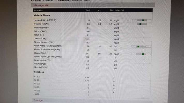 Medizinische Hilfe bei Hautproblem-Beitrag-Bild