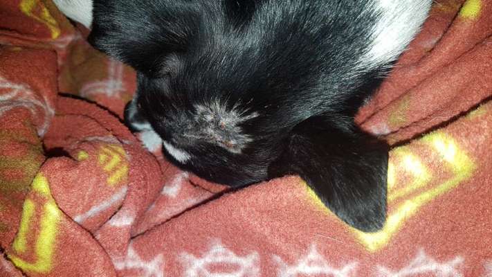 Medizinische Hilfe bei Hautproblem-Beitrag-Bild