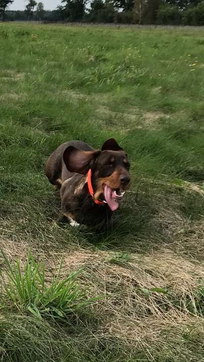 Fotochallenge Nr 50 Vom Winde verweht-Beitrag-Bild