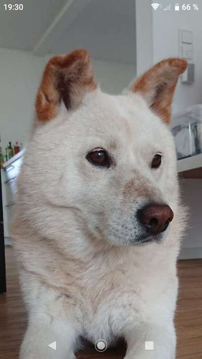 Dogorama Photo Challenge - Details Ganz nah-Beitrag-Bild