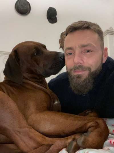 Rhodesian Ridgeback-Beitrag-Bild