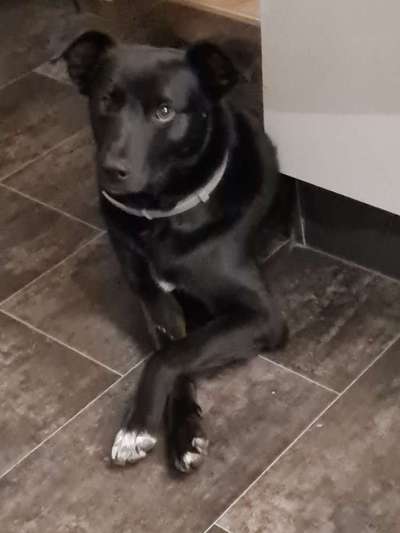 Fotochallange Nr. 57     PORTRÄT.   Beendet!!!!!!!!-Beitrag-Bild