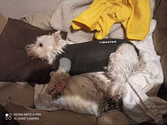 Fotochallenge Nr. 56 - geliebte Senioren-Beitrag-Bild