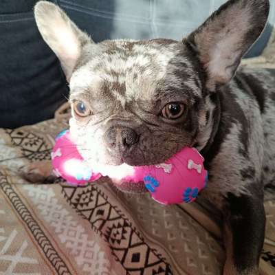 Melanie's Profilbild